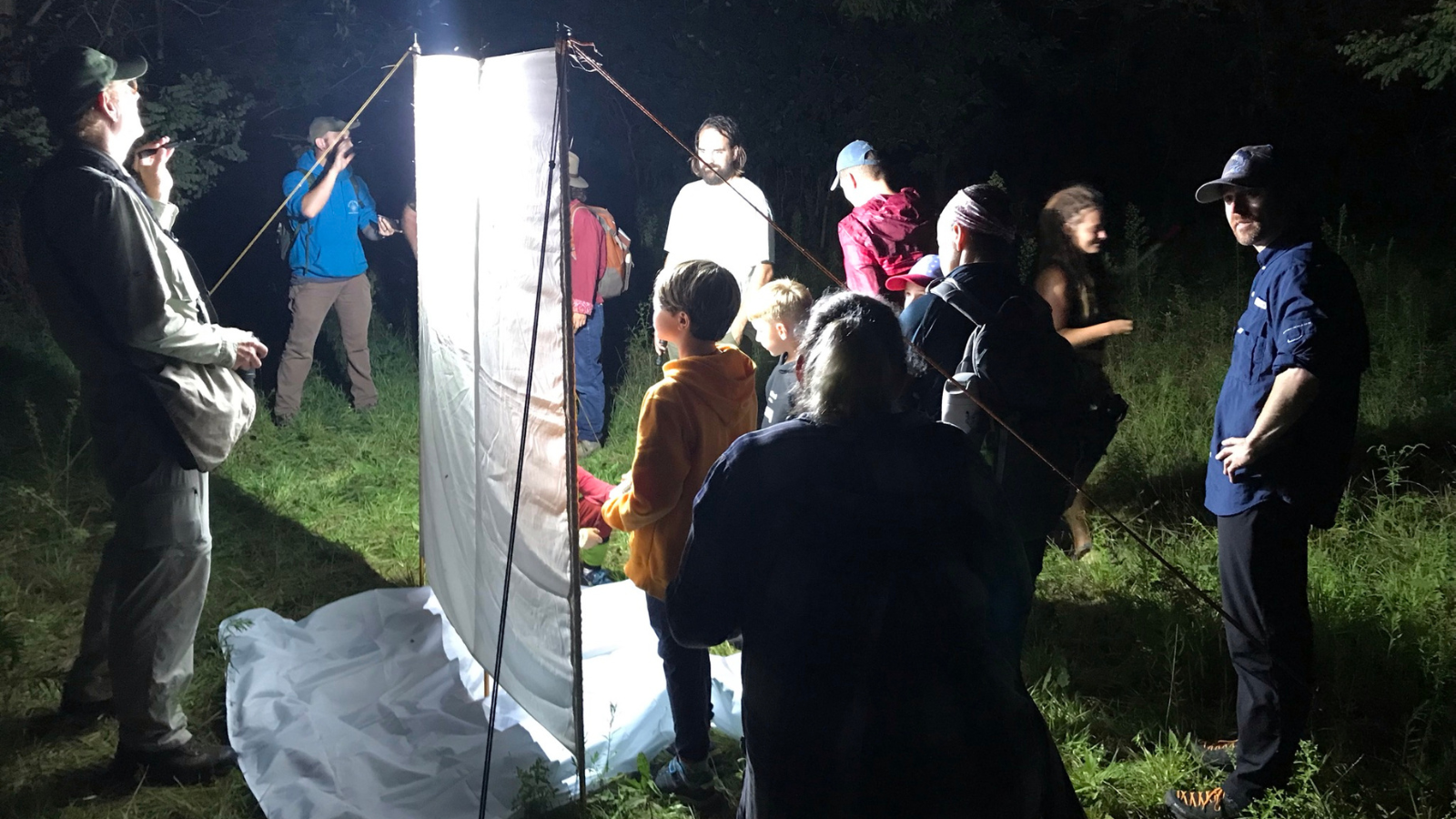 Moth Watching Adventure at Mentor Marsh with Cleveland Museum of Natural History