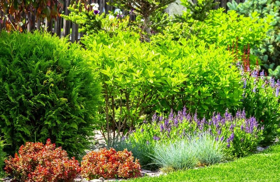 how-to-help-wildlife-in-your-own-backyard