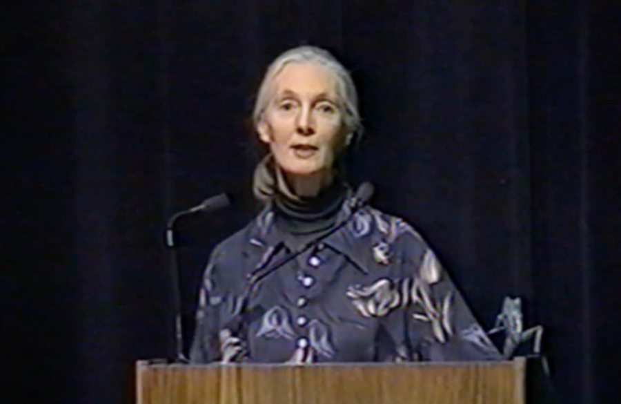 remembering-jane-goodall-in-her-own-words
