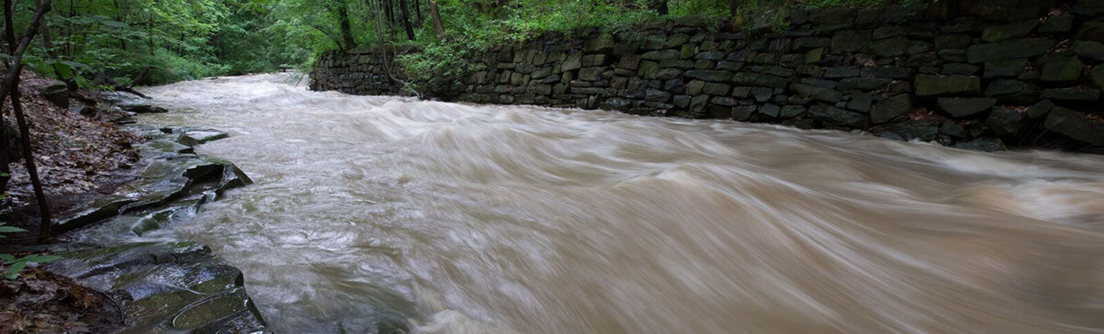 Doan Brook Watershed
