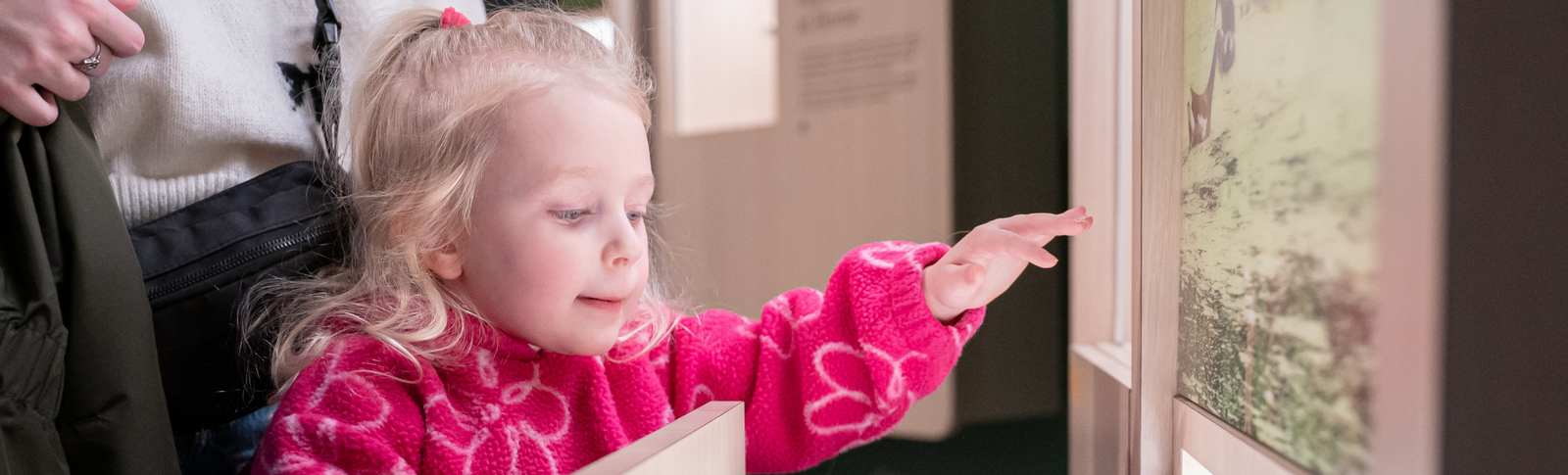 Black Friday Member Deal