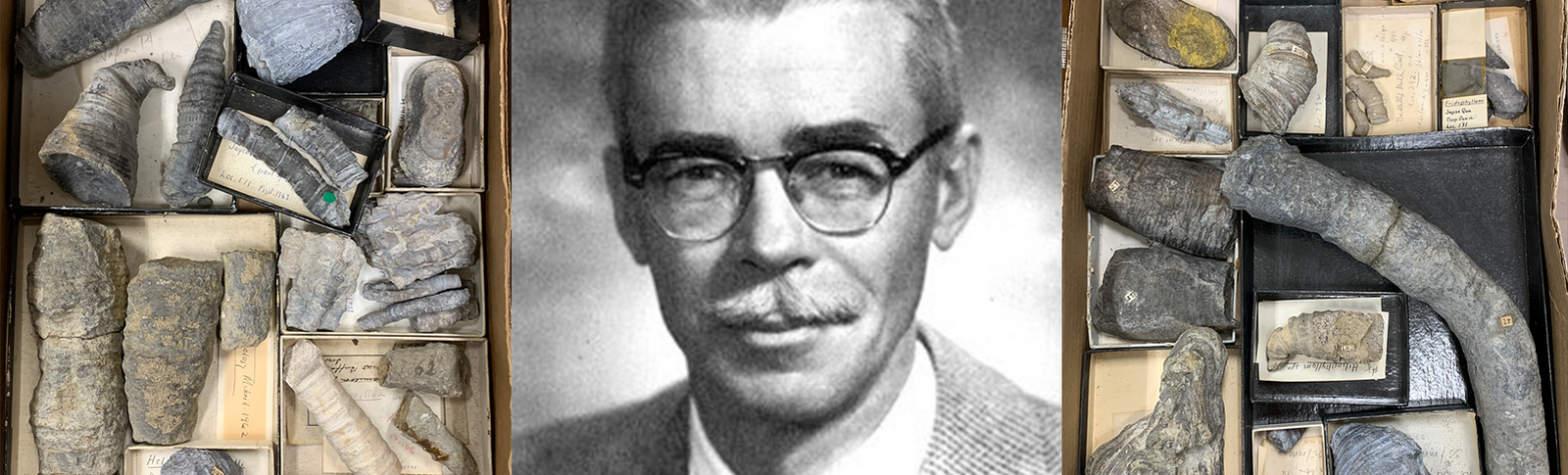 John W. Wells & Coral Geochronometry
