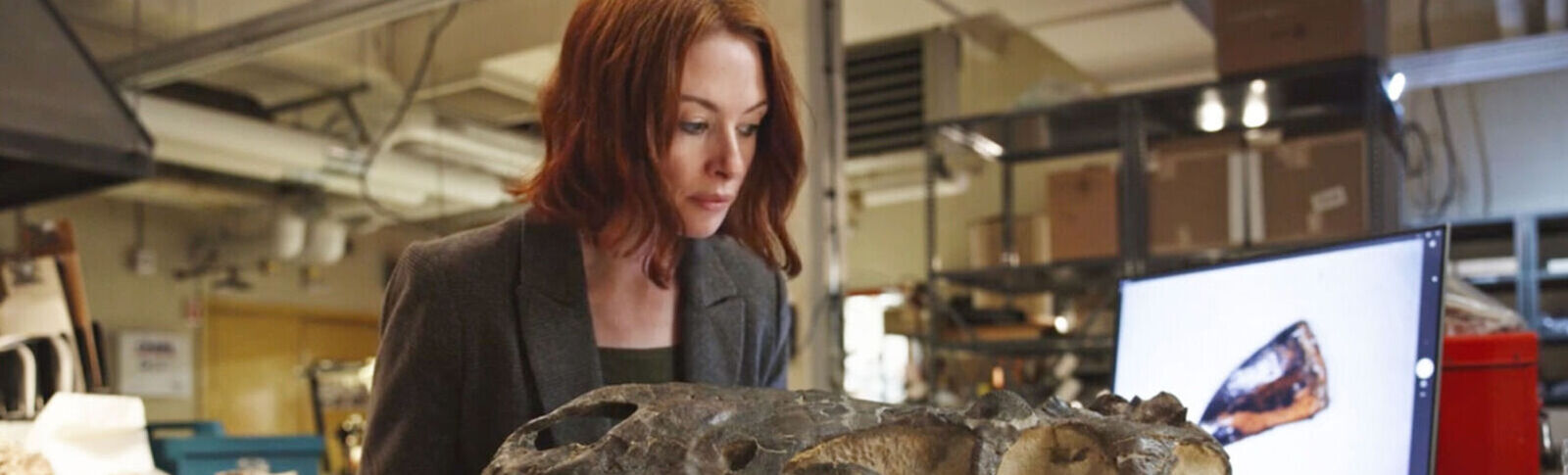 CMNH Discovers New Clues in Nanotyrannus Debate