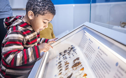 Unlimited Visits, Endless Wonder