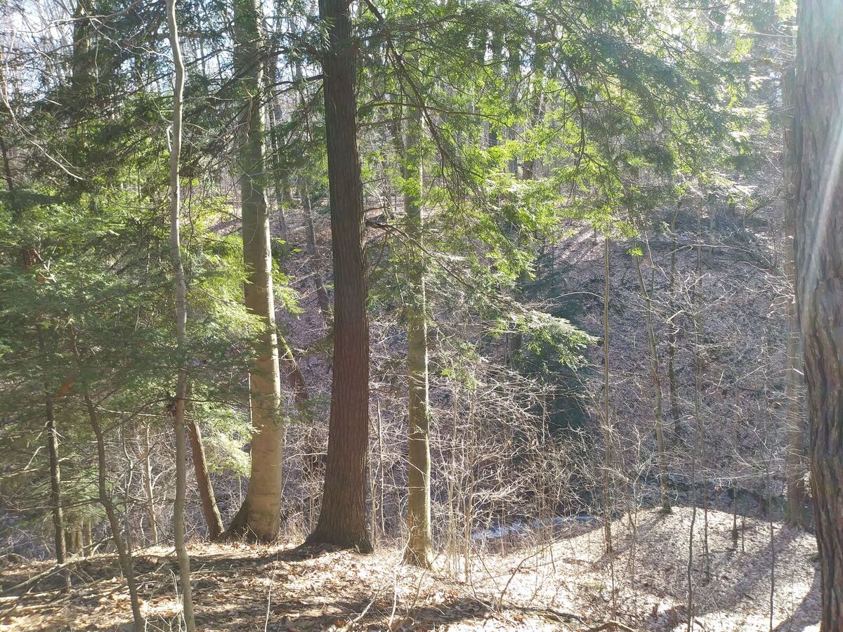natural-areas-field-trip-autumn-on-the-ashtabula