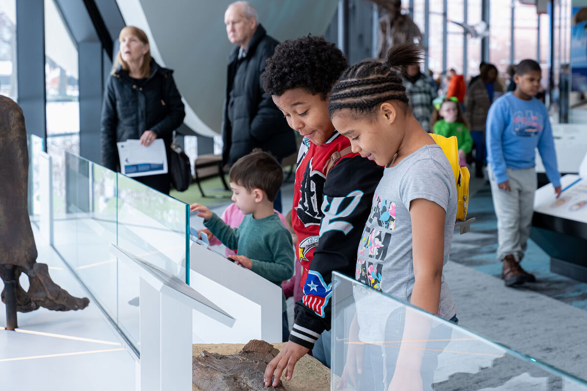 member-appreciation-day-spring-into-science