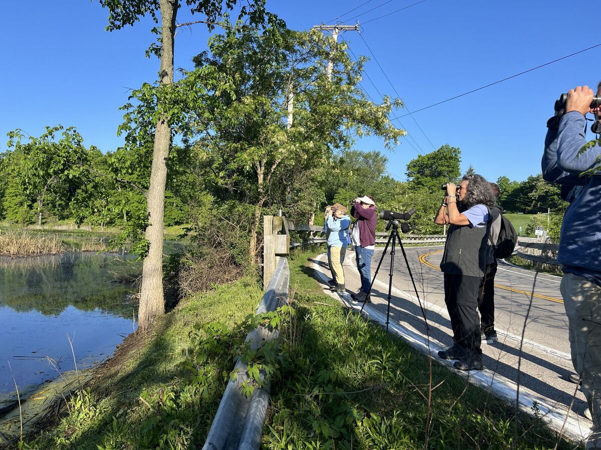 mentor-marsh-guided-nature-hike-birds-birds-birds