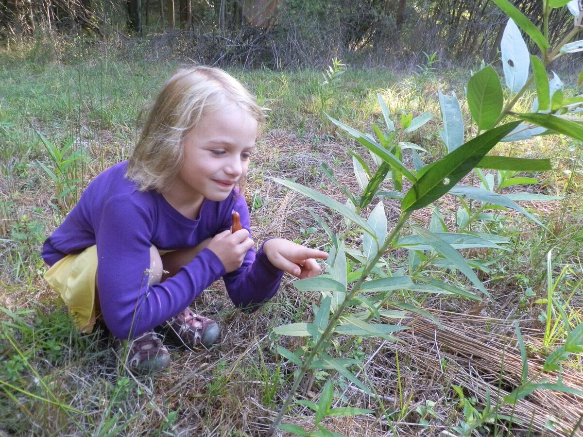 mentor-marsh-guided-nature-hike-bug-hunt