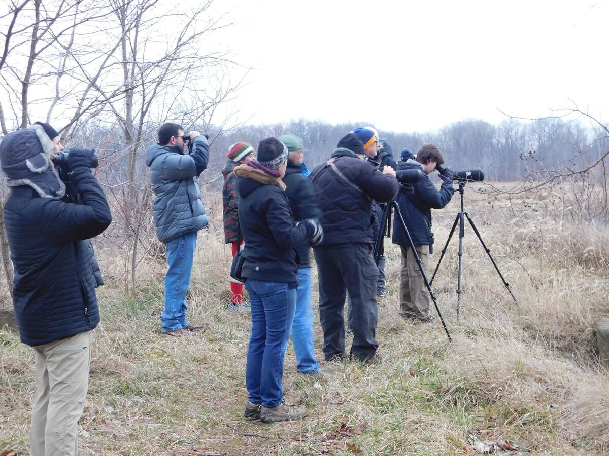 christmas-bird-count-at-mentor-marsh