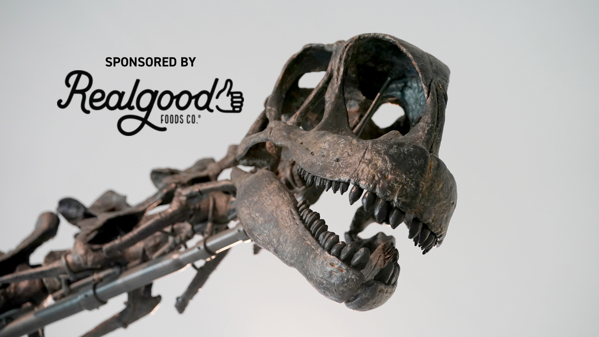 museum-family-day-dino-day