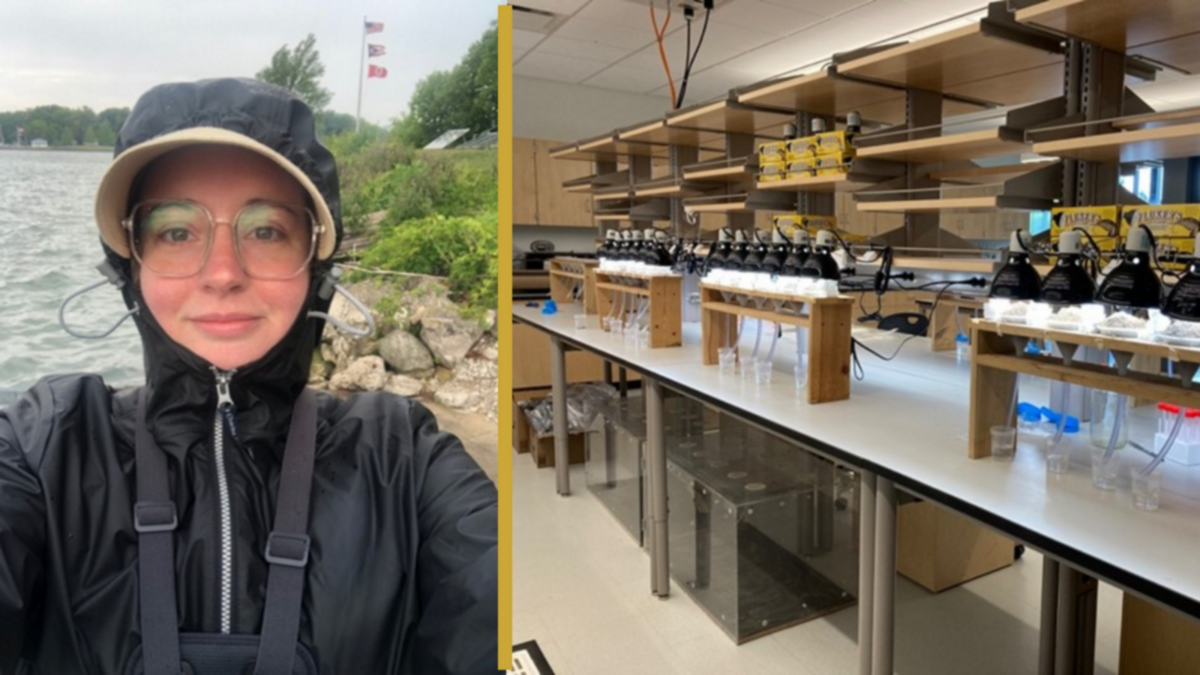 friends-of-cmnh-science-series-invasive-pest-control-in-hemlock-forests-a-belowground-perspective