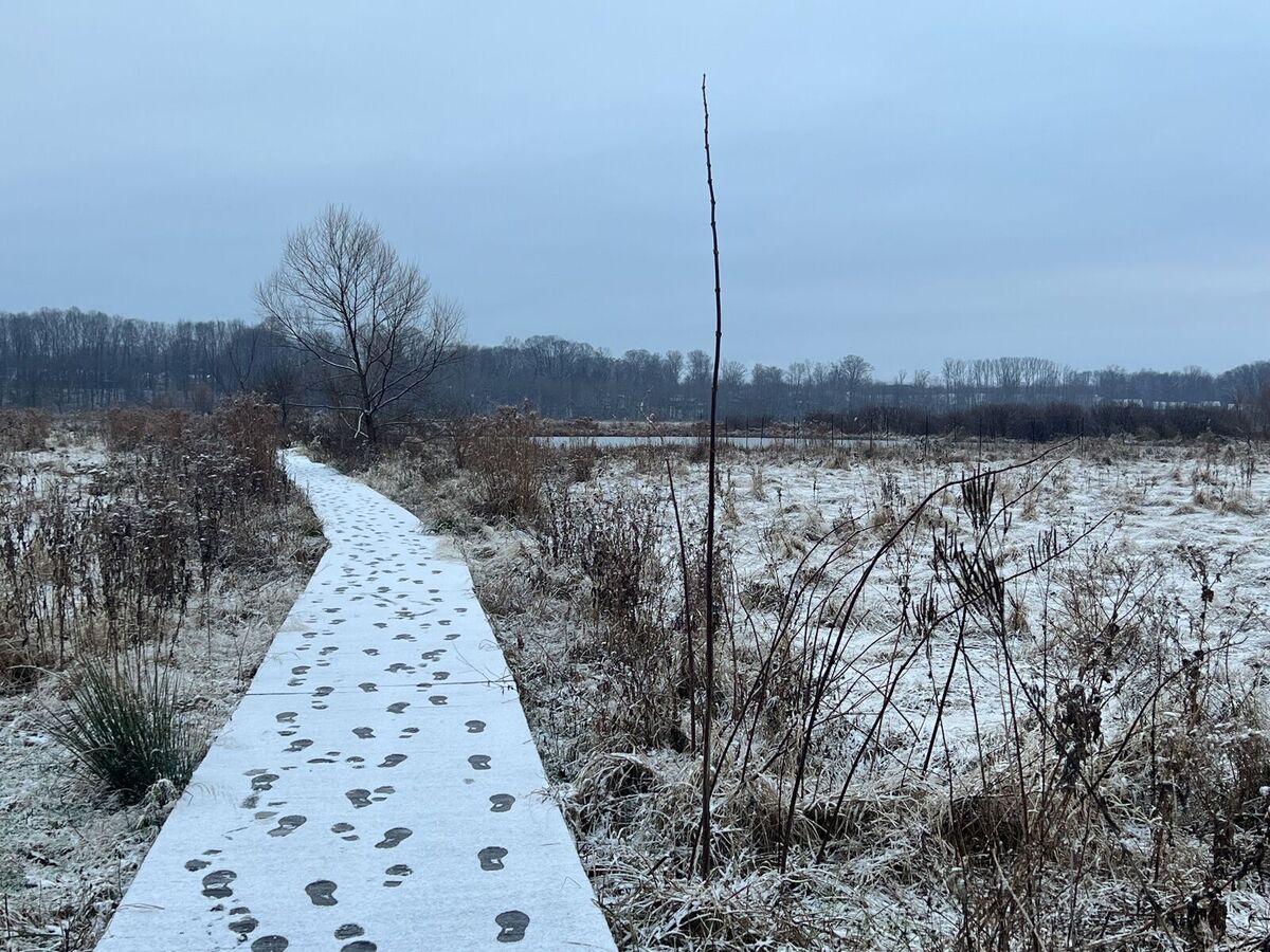 mentor-marsh-guided-nature-hike-hiking-in-the-new-year