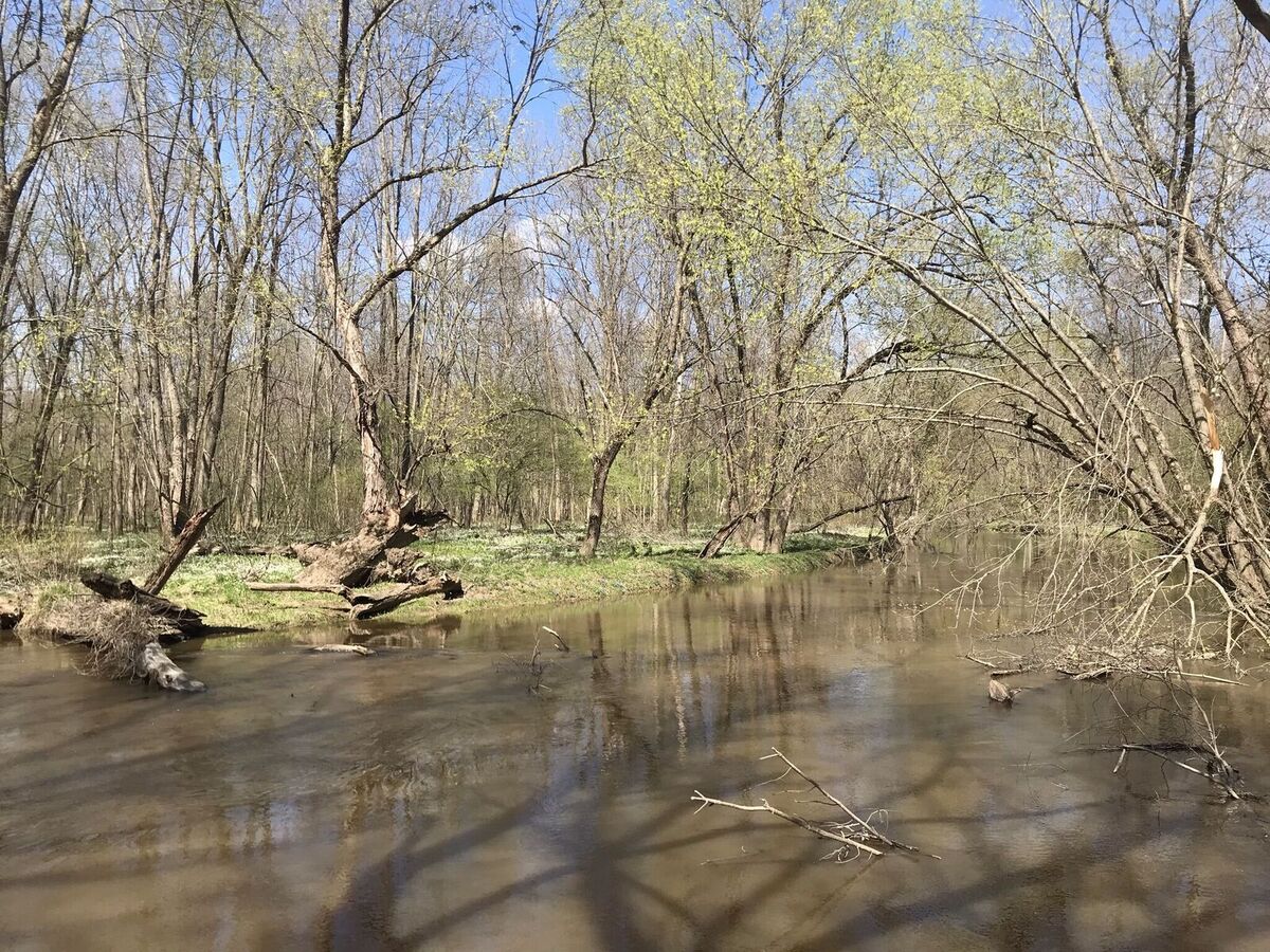 natural-areas-field-trip-welcoming-spring-at-windsor-woods