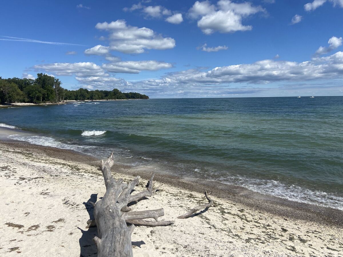 scheele-preserve-welcome-day-explore-an-alvar-landscape