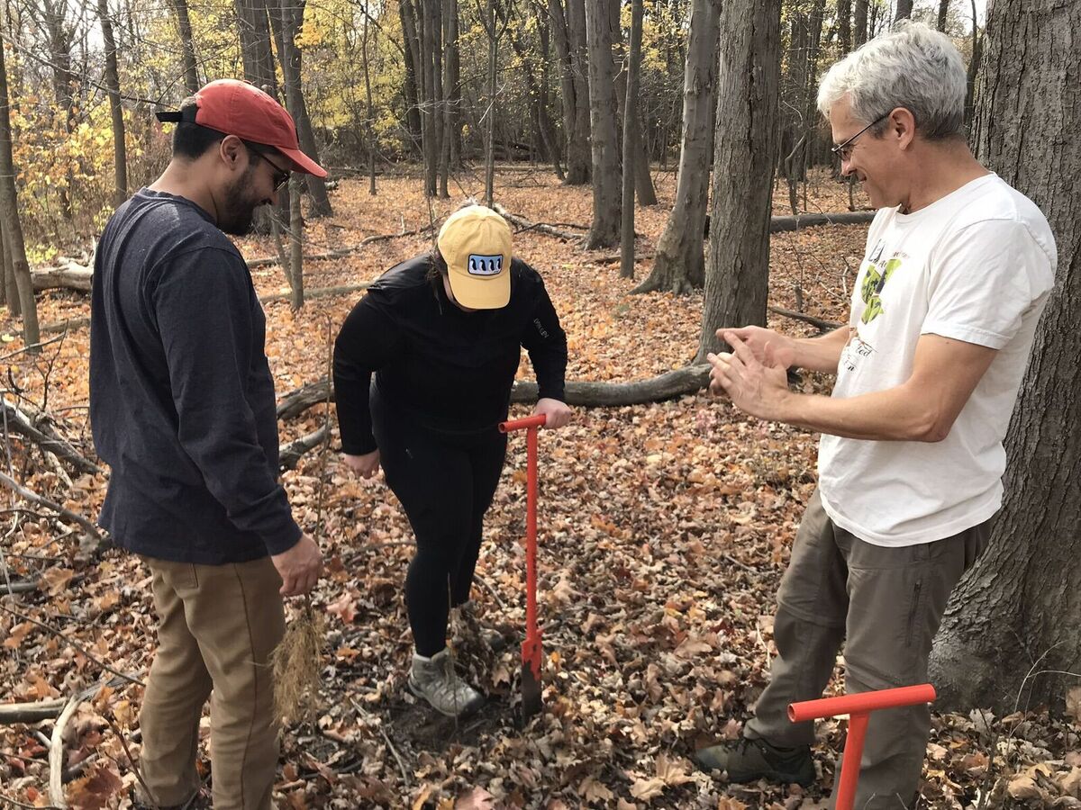 mentor-marsh-special-stewardship-workdaytree-and-shrub-planting