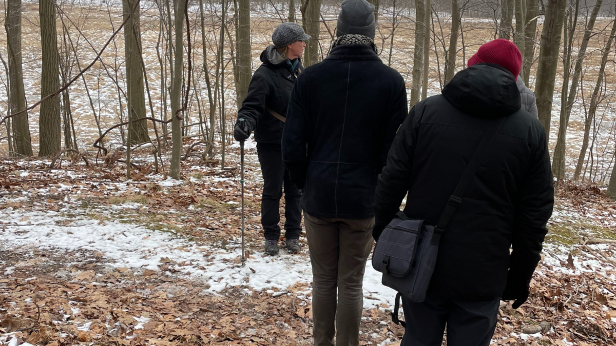 mentor-marsh-guided-nature-hike-hiking-in-the-new-year