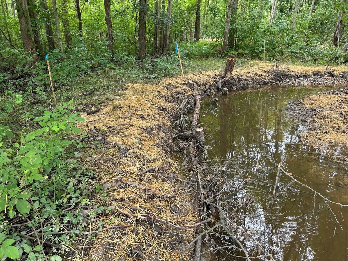 friends-of-cmnh-science-series-restoring-darrow-road-park-community-driven-stream-and-habitat-renewal-in-hudson-ohio