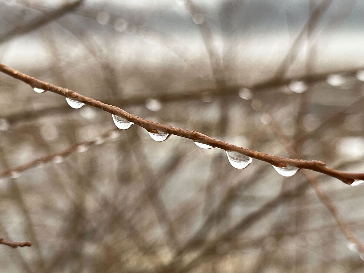 mentor-marsh-second-saturday-science