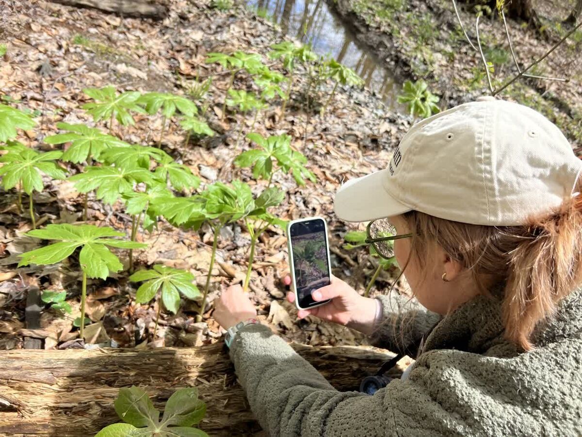 city-nature-challenge-mentor-marsh-marvels