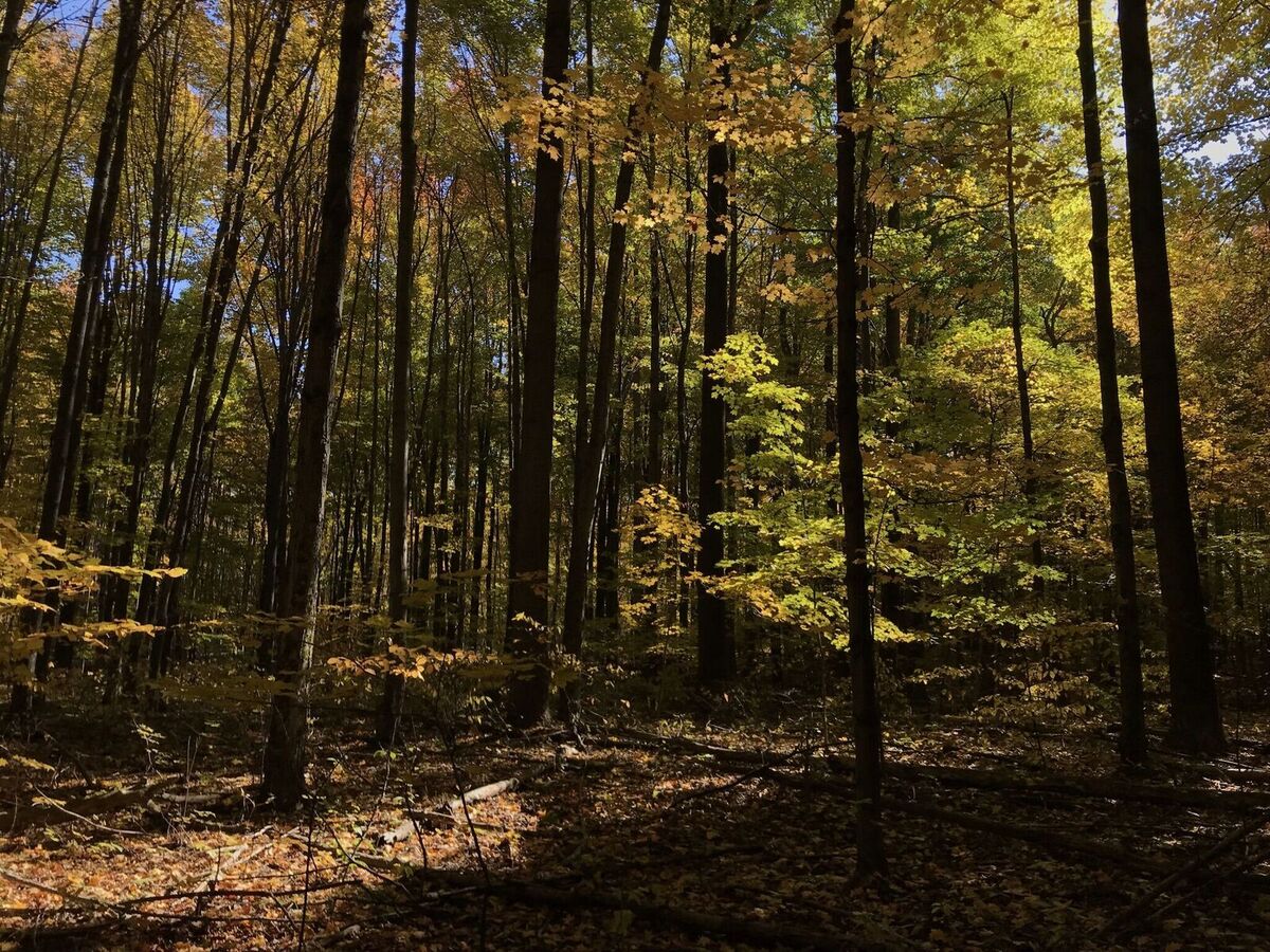 natural-areas-field-trip-autumn-on-the-ashtabula