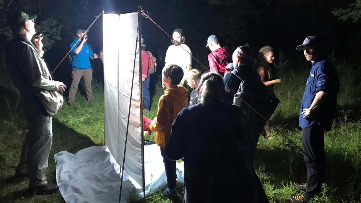 natural-areas-field-trip-mothing-mania-at-mentor-marsh