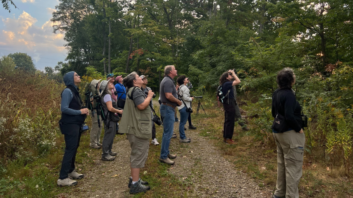 mentor-marsh-guided-nature-hike-migration-madness