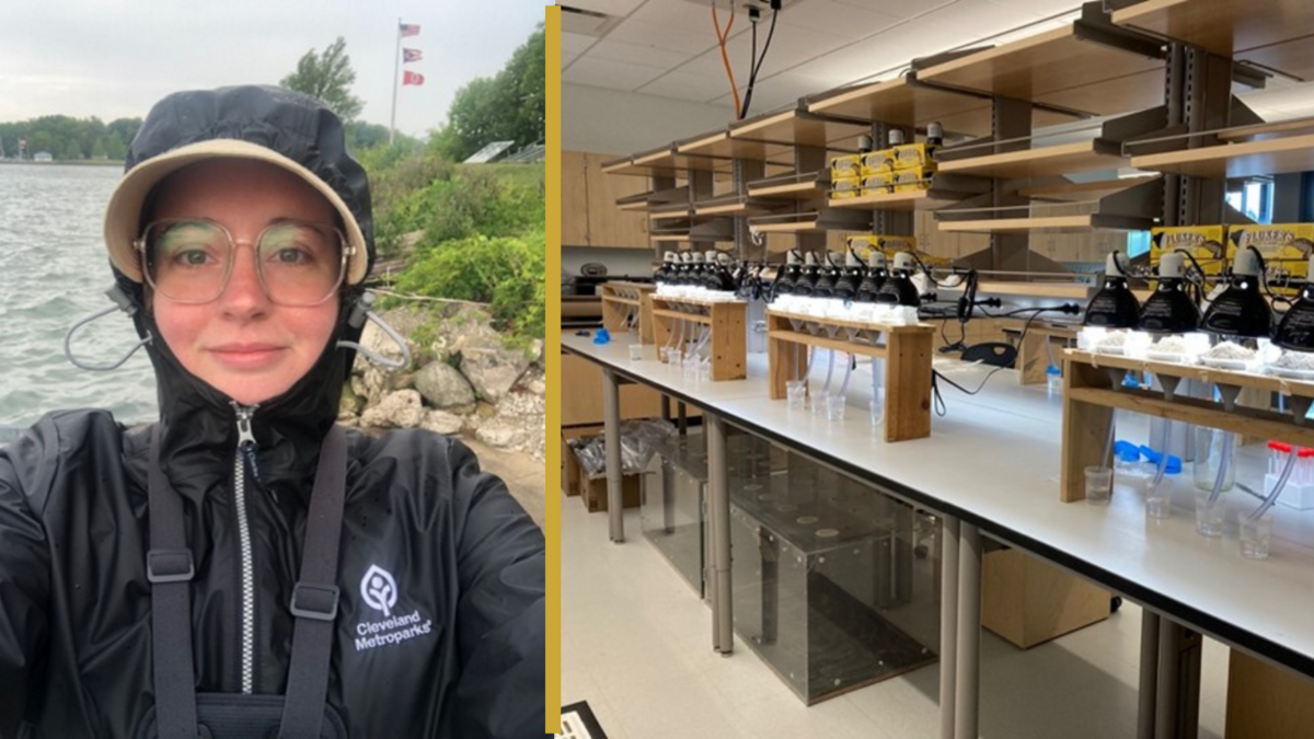 friends-of-cmnh-science-series-fighting-forest-pests-are-treatments-harming-more-than-they-help