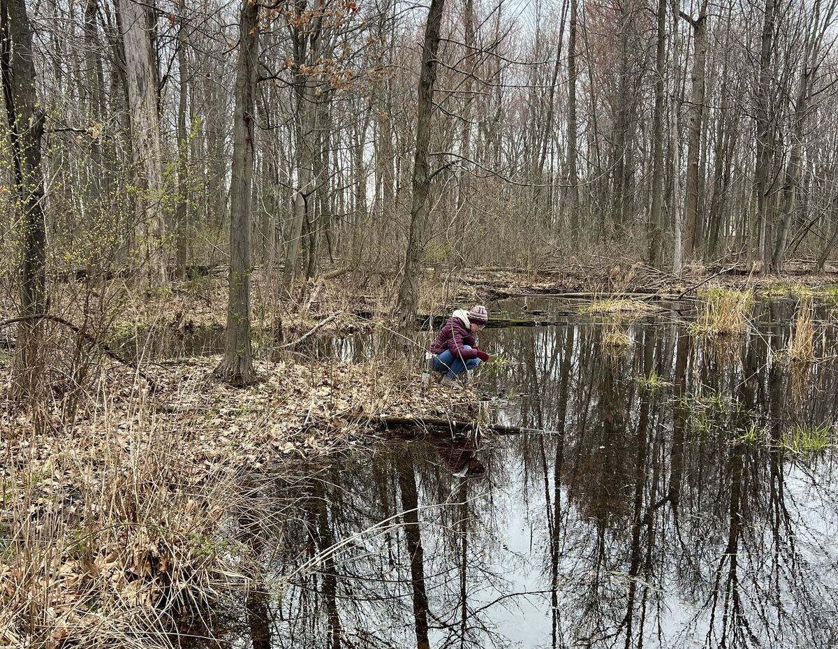 mentor-marsh-guided-nature-hike-wonderful-woodland-wetlands