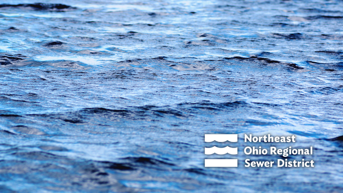 museum-family-day-waves-of-wonder