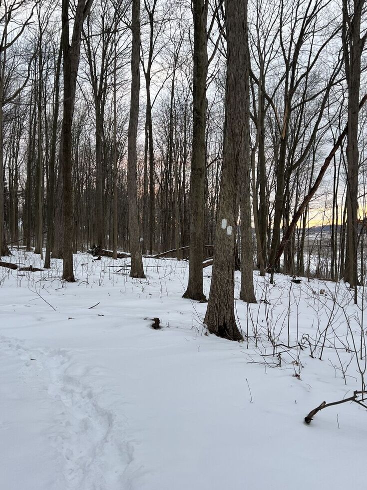special-sunday-winter-walk-hiking-the-buckeye-trail