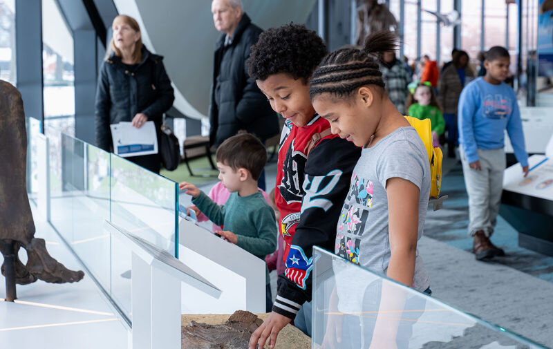 /explore/calendar/2026/03/21/member-appreciation-day-spring-into-science