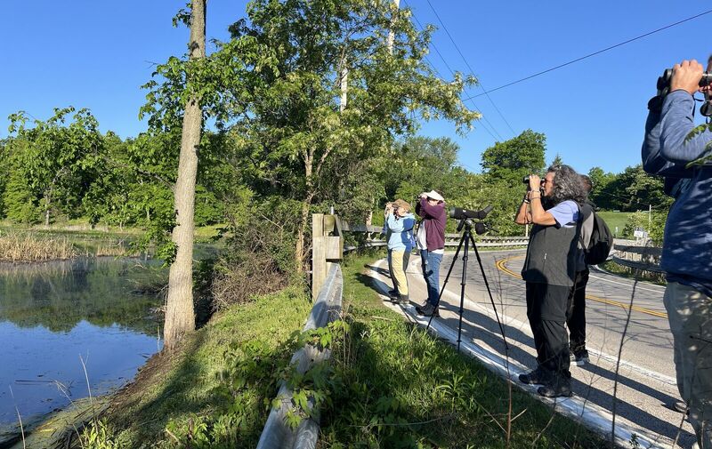 /explore/calendar/2026/05/03/mentor-marsh-guided-nature-hike-birds-birds-birds