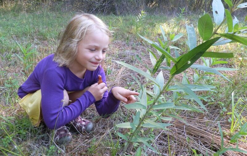 /explore/calendar/2026/06/14/mentor-marsh-guided-nature-hike-bug-hunt