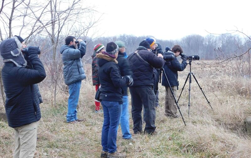 /explore/calendar/2025/12/27/christmas-bird-count-at-mentor-marsh