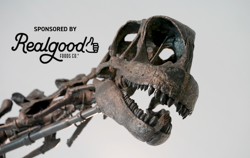 museum-family-day-dino-day