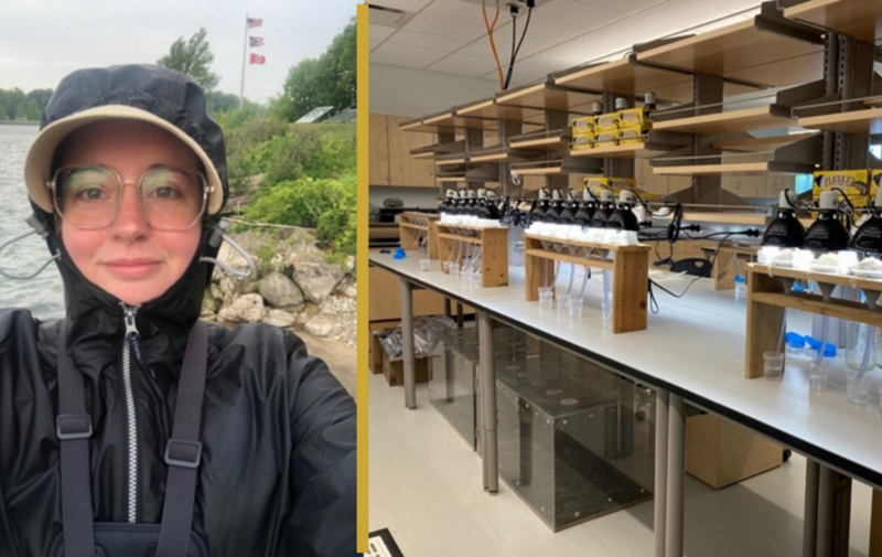 friends-of-cmnh-science-series-invasive-pest-control-in-hemlock-forests-a-belowground-perspective