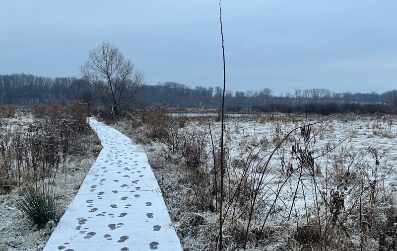 Mentor Marsh Guided Nature Hike: Hiking in the New Year