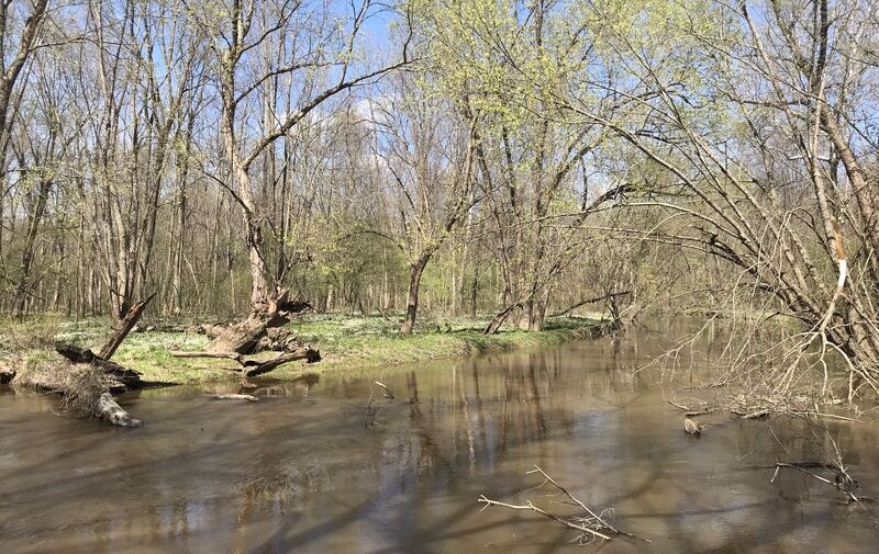 natural-areas-field-trip-welcoming-spring-at-windsor-woods