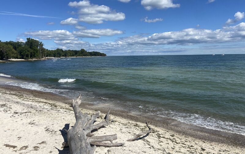 /explore/calendar/2026/06/20/scheele-preserve-welcome-day-explore-an-alvar-landscape