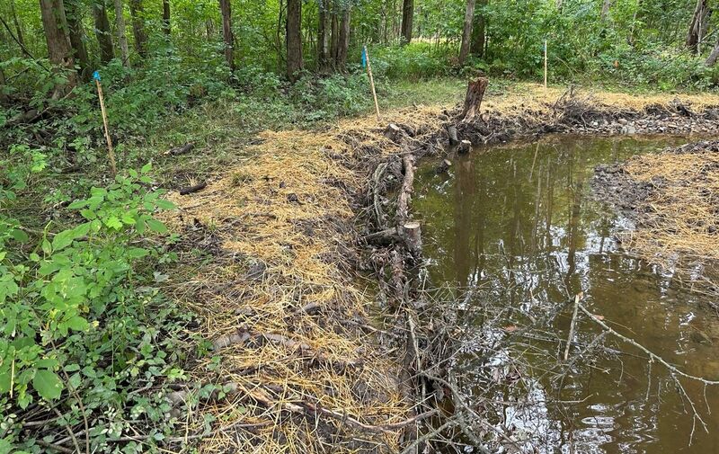 /explore/calendar/2026/05/09/friends-of-cmnh-science-series-restoring-darrow-road-park-community-driven-stream-and-habitat-renewal-in-hudson-ohio