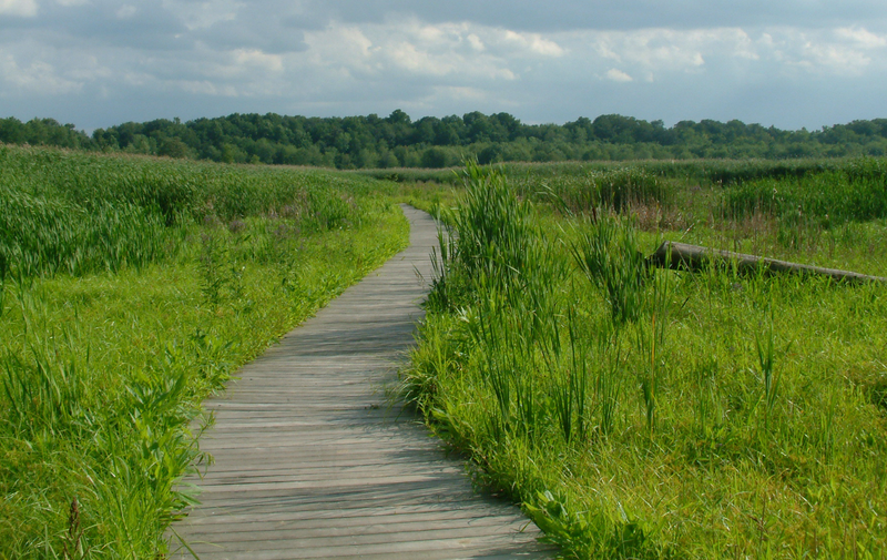 /explore/calendar/2026/06/24/mentor-marsh-master-plan-public-meeting-1