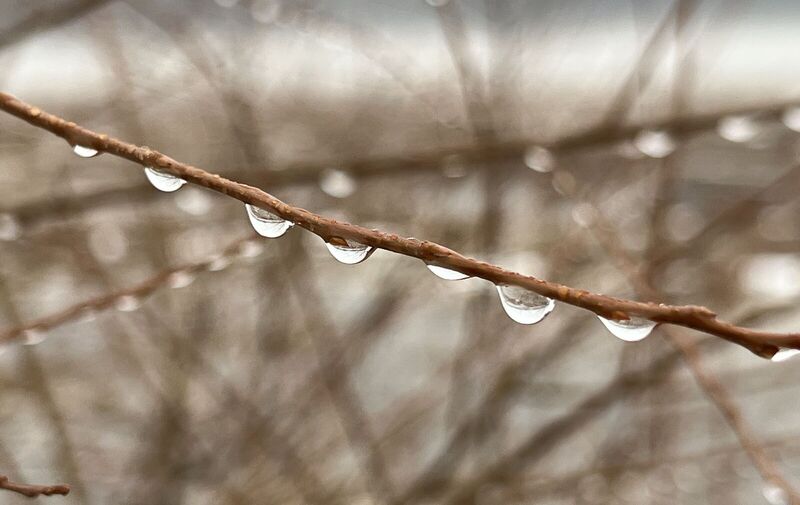 Mentor Marsh: Second Saturday Science