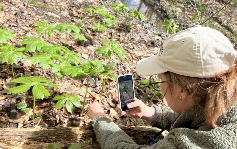 City Nature Challenge: Mentor Marsh Marvels