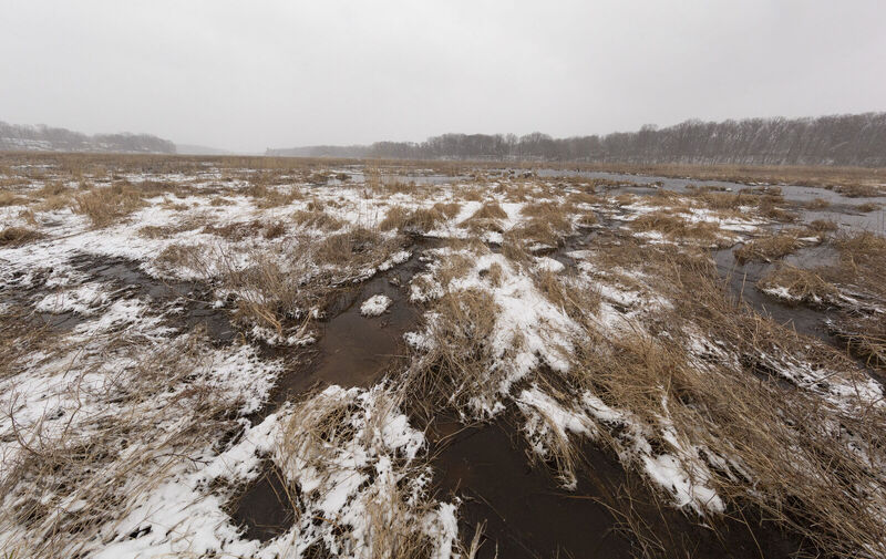 /explore/calendar/2026/01/10/mentor-marsh-second-saturday-science