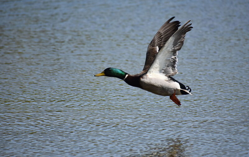 /explore/calendar/2026/03/14/mentor-marsh-second-saturday-science