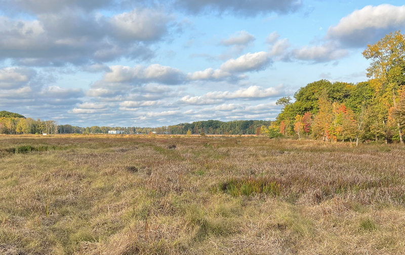 /explore/calendar/2025/10/11/mentor-marsh-second-saturday-science