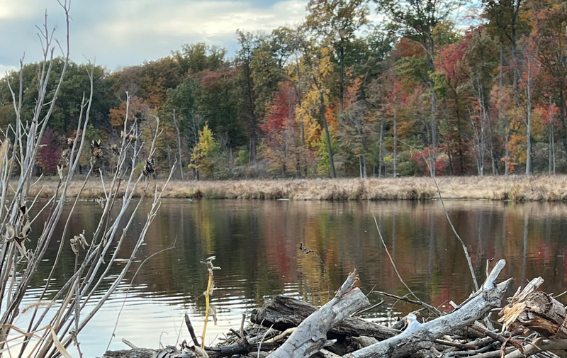 /explore/calendar/2025/10/12/mentor-marsh-guided-nature-hike-marsh-marvels