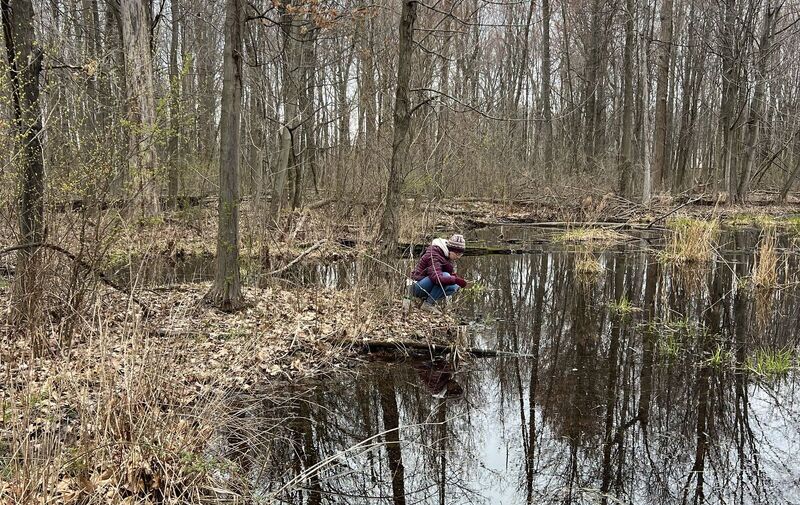 /explore/calendar/2026/04/05/mentor-marsh-guided-nature-hike-wonderful-woodland-wetlands