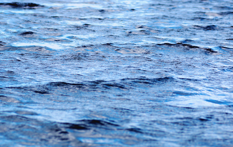 /explore/calendar/2026/04/04/museum-family-day-waves-of-wonder