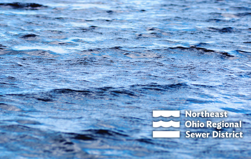 museum-family-day-waves-of-wonder